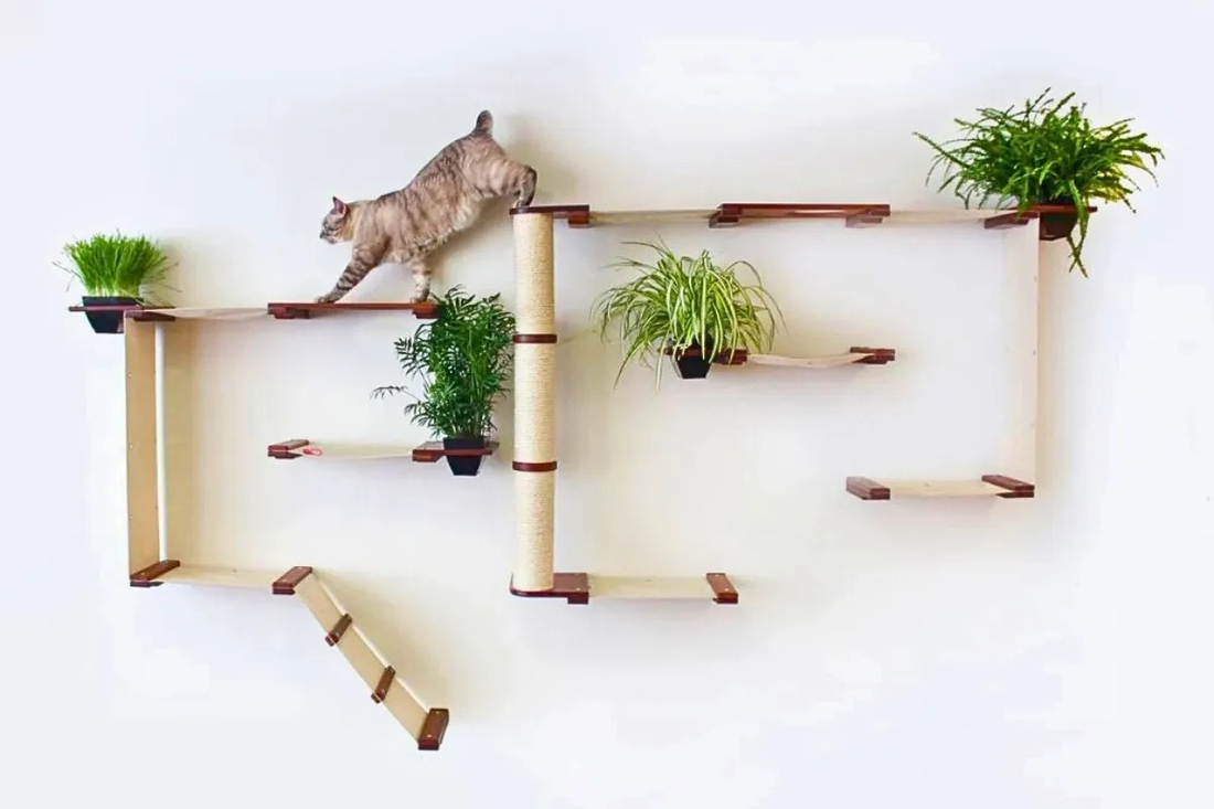 Cat Tree with Condo: Best Picks for Scratching and Lounging