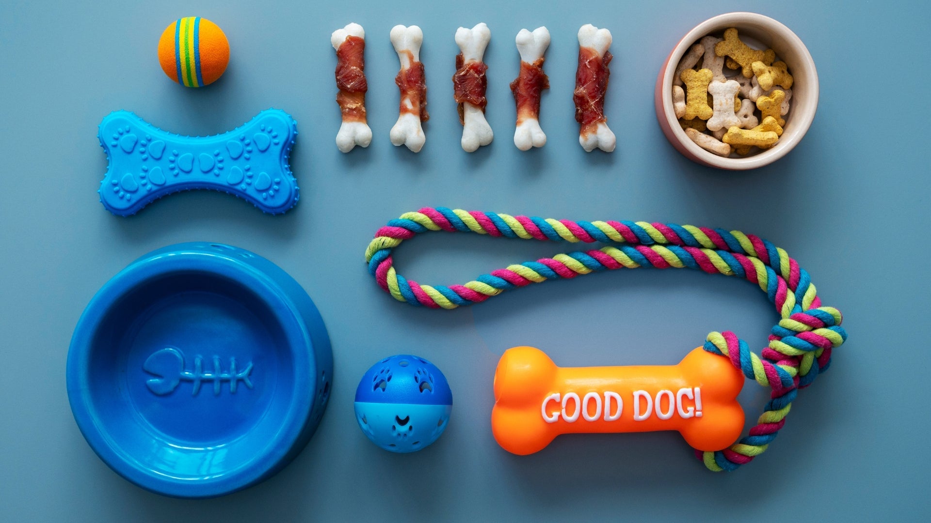 Dog Toys for Chewers, Fetchers & Puzzles | Pet Life Go