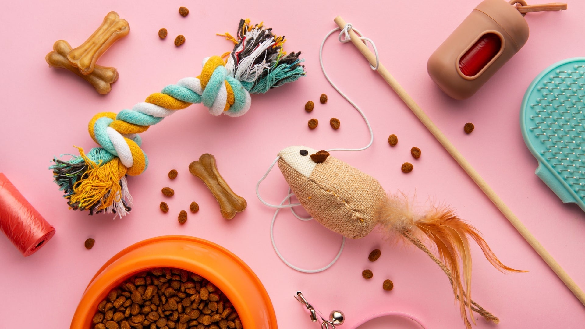 Interactive & Enrichment Cat Toys | Pet Life Go